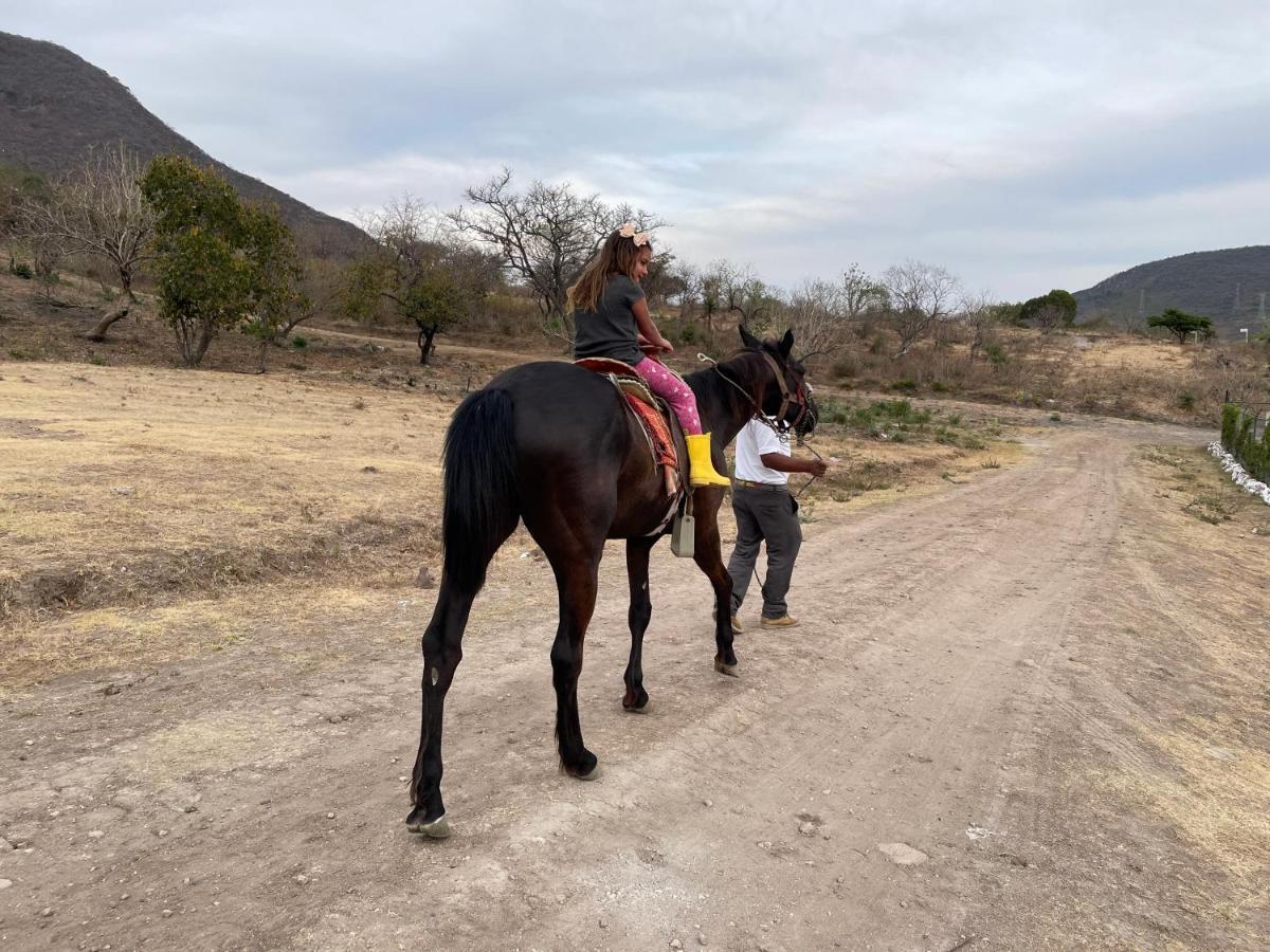 Glamping Moonlev Atlixco Luxury Tend Exteriör bild